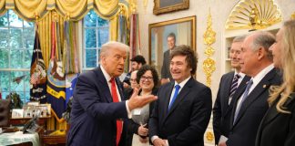 Las promesas de Bessent ya no ocultan el derrumbe