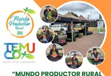 Municipalidad de Temuco invita a apoyar el mundo rural, a través, de la venta de productos locales, frescos y sustentables en toda la comuna